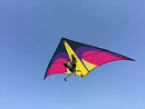 Remote Control Delta Wing Paraglider PNP RTF