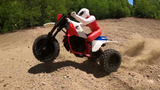 1/5 RC Honda 350X Trike Kit