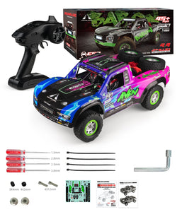 SG1002SE 1/10 Desert Off-road Brushless  RC Car RTR