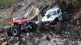 RGT EX86180PRO 1/10 RC Car Crawler RTR