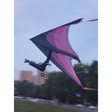 Remote Control Delta Wing Paraglider 1.3 Meters PNP RTF