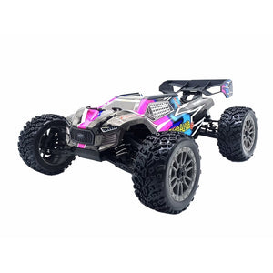 FS RACING FSR  Leopard 6S Brushless Power Remote Control Off-road Vehicle RTR