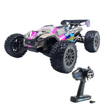 FS RACING FSR  Leopard 6S Brushless Power Remote Control Off-road Vehicle RTR