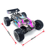 FS RACING FSR  Leopard 6S Brushless Power Remote Control Off-road Vehicle RTR